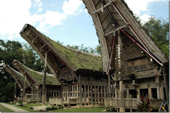 tana-toraja