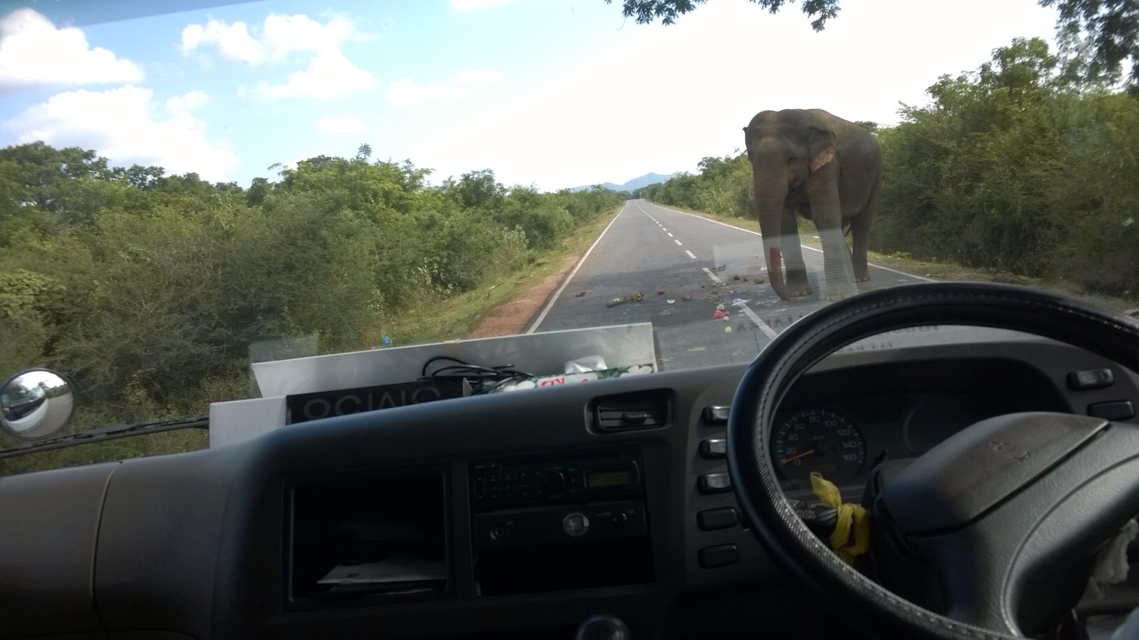 Elefant laver landevejs røveri på Sri Lanka, Yale nationalpark