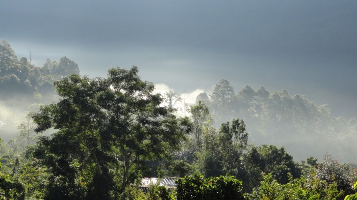 DSC03004