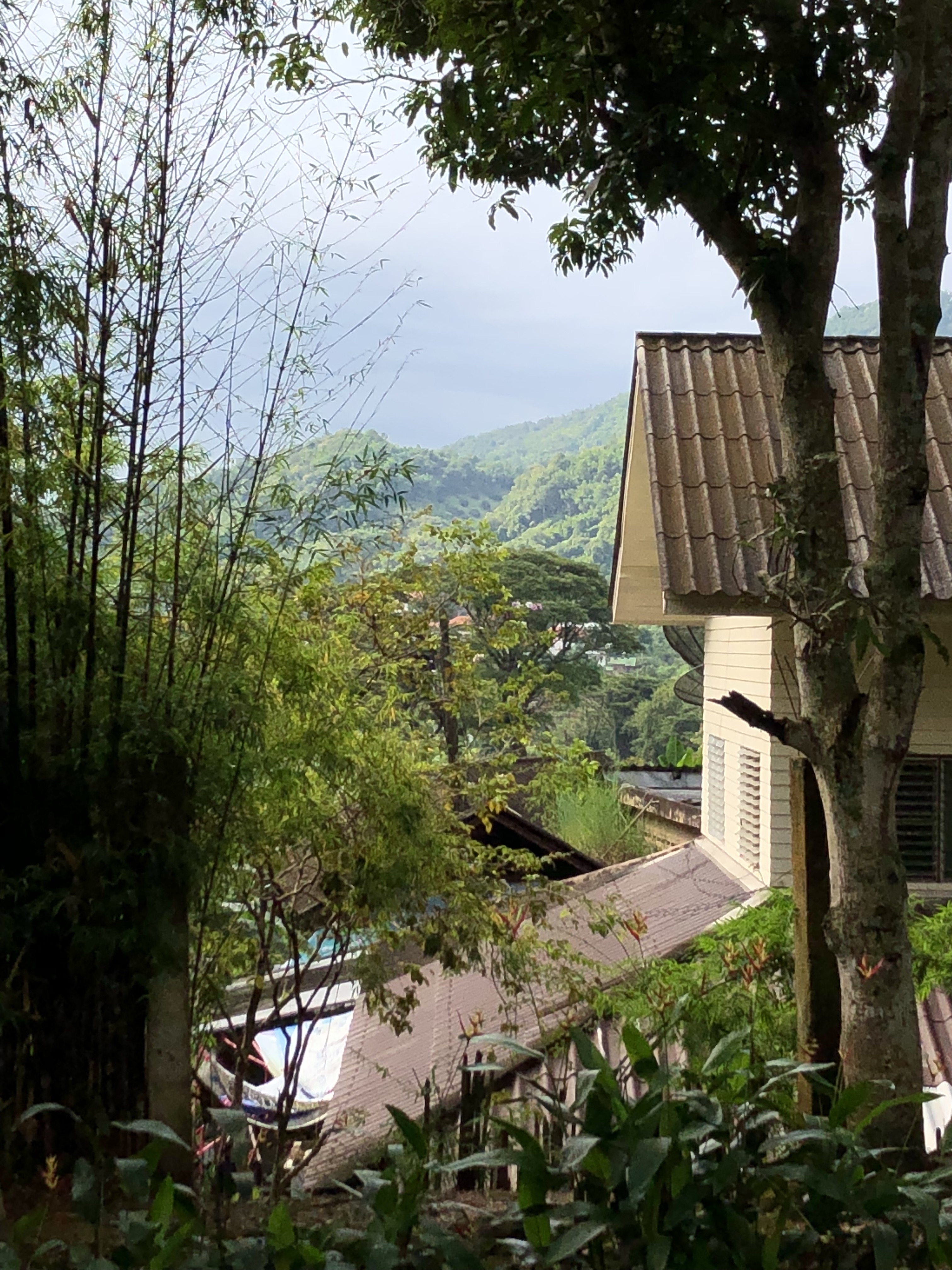 zD2Dgle5SpuEcOtMNdIxlQ