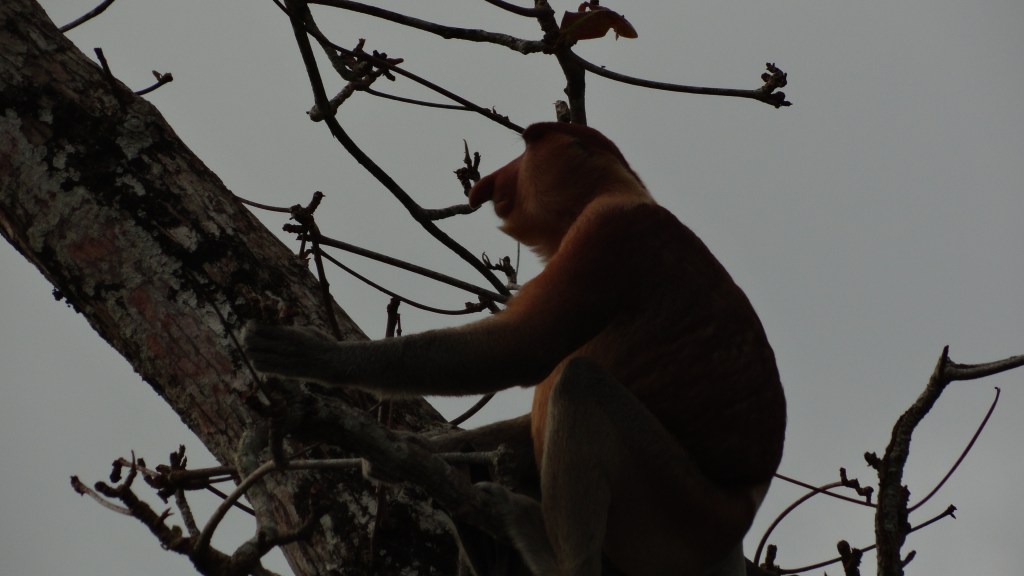 Malaysia 2013 –&nbsp;Photoserie